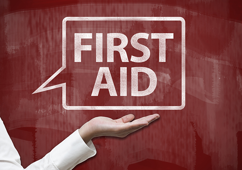 Top Things To Know About CPR And First Aid Certification Blog News 